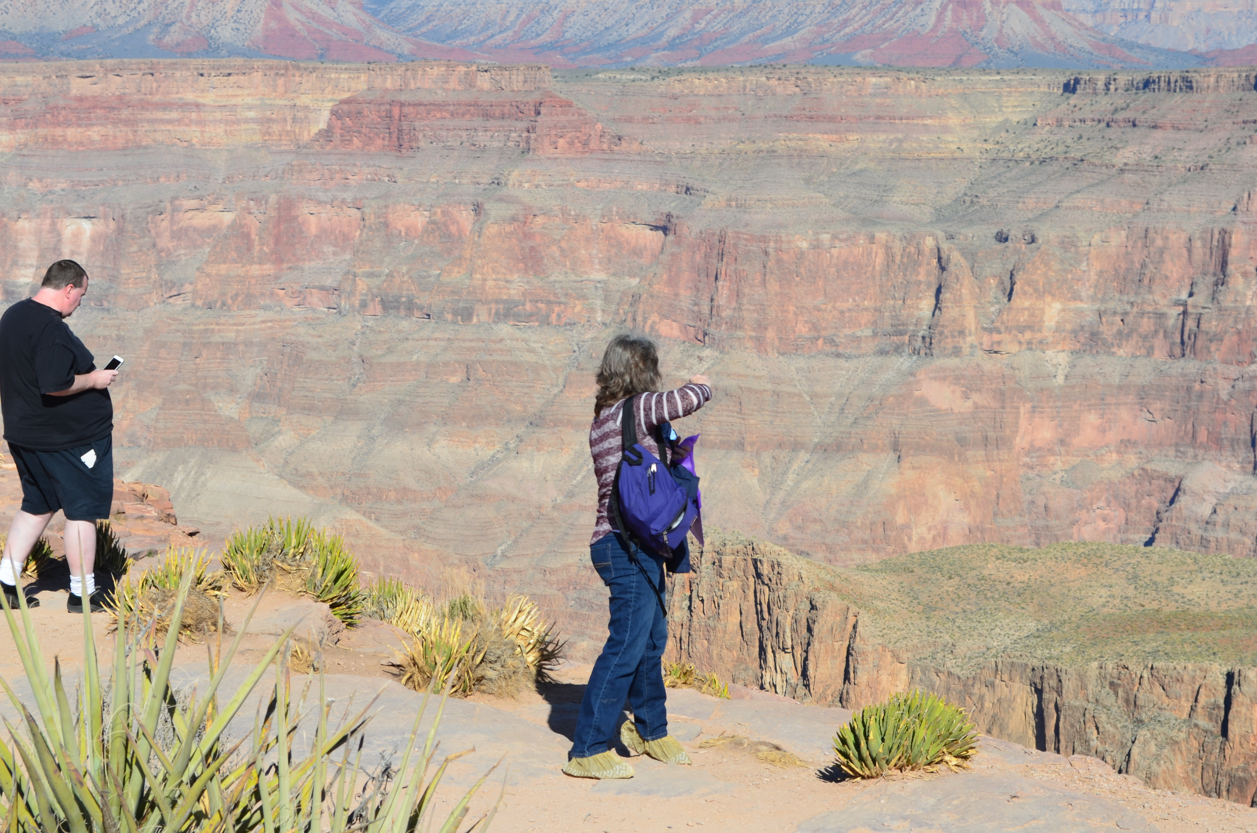 ./2016/04 - Las Vegas/Grand Canyon Skywalk/DSC_0271.JPG